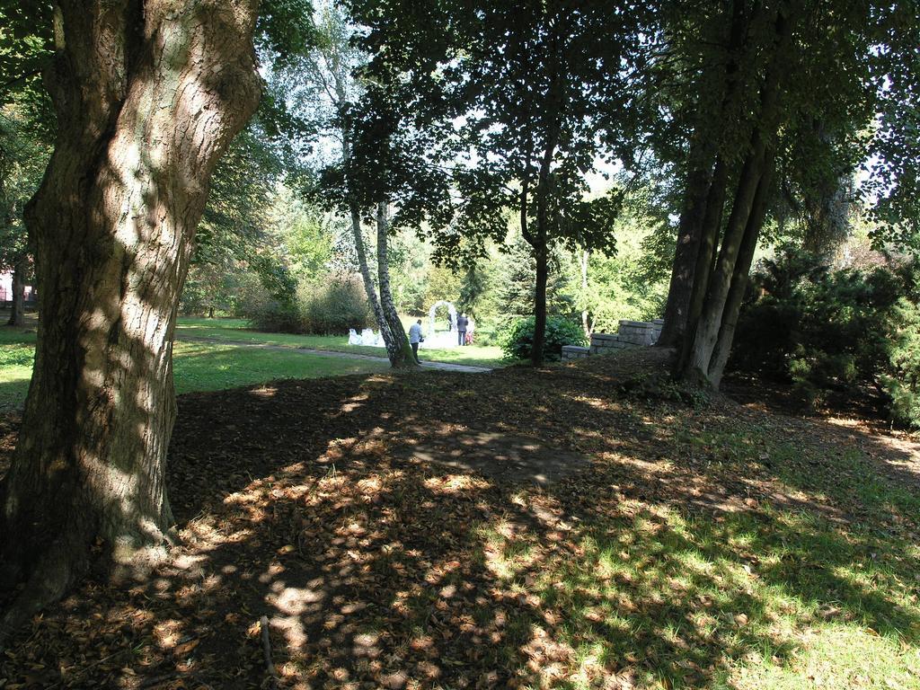 Vila Olga Jevany Extérieur photo