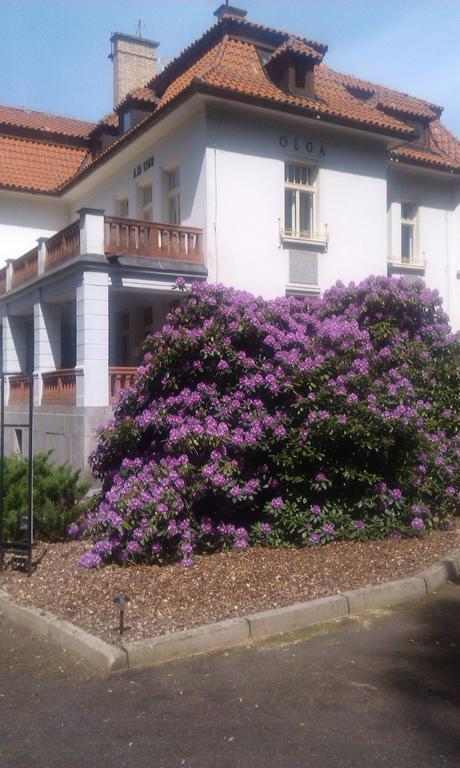 Vila Olga Jevany Extérieur photo
